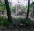 Gozd št. 3 - v deležu ½, Spodnje Gameljne, 1211 Ljubljana - Šmartno
