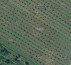 Kmetijsko zemljišče št. 1, Korija, 33000 Virovitica