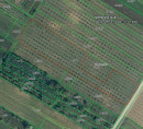 Kmetijsko zemljišče št. 2, Korija, 33000 Virovitica