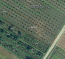 Kmetijsko zemljišče št. 3, Korija, 33000 Virovitica