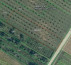 Kmetijsko zemljišče št. 3, Korija, 33000 Virovitica
