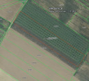 Kmetijsko zemljišče št. 8, Korija, 33000 Virovitica