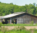 Gospodarska stavba, Pivnica, 33533 Pivnica Slavonska