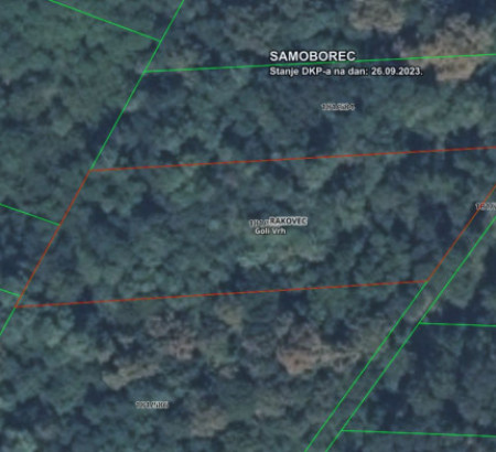 Gozd št. 1, Goli Vrh, 10347 Rakovec