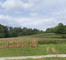 Kmetijska zemljišča, gozd - v deležu ½, Leskovec, 8321 Brusnice