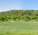 Kmetijsko zemljišče, Ulica Josipa Kozarca, Novi Jankovci, Stari Jankovci