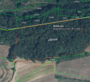 Gozd - v deležu ⅓, Momjan, 52462 Momjan