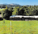 Kmetijsko zemljišče - v deležu ⅓, 3264 Sveti Štefan