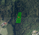Gozd št. 1, Jesenovo, 1413 Čemšenik