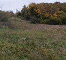 Kmetijska zemljišča, gozd - v deležu 1/7, Jelovec pri Makolah, 2321 Makole