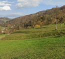 Kmetijsko zemljišče - v deležu 1/8, Tevče, 3270 Laško
