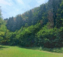 Gozd - v deležu ½, Kal pri Krmelju, 8297 Šentjanž