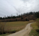 Kmetijska zemljišča, gozd, Vrhe, 2380 Slovenj Gradec