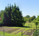 Stavbno zemljišče, Dornavska cesta, 2250 Ptuj