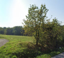 Kmetijsko zemljišče, Ajševica, 5000 Nova Gorica