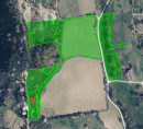 Kmetijsko zemljišče, gozd, Vajgen, 2221 Jarenina