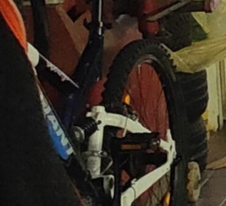 Gorsko kolo Giant