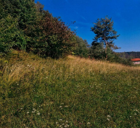 Stavbno zemljišče, kmetijsko zemljišče, Srednik, 8297 Šentjanž
