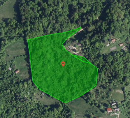 Gozd - v deležu 63/96, Plazovje, 3270 Laško