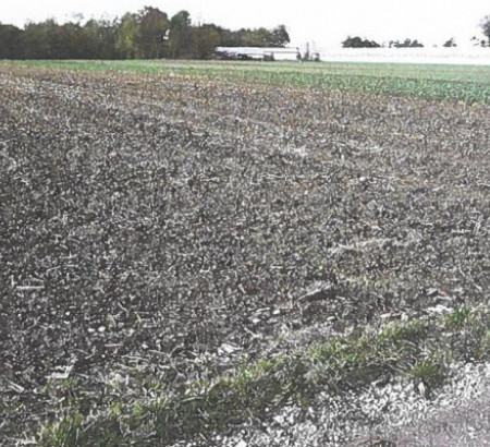 Kmetijska zemljišča št. 1, Turnišče, 9224 Turnišče
