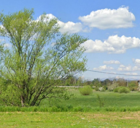 Kmetijsko zemljišče št. 2, Koseze, 6250 Ilirska Bistrica