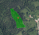 Gozd, kmetijsko zemljišče št. 1, Sveti Vid, 1380 Cerknica