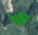 Gozd, Ciringa, 2201 Zgornja Kungota