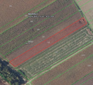 Kmetijsko zemljišče št. 1, Marinci, 32221 Nuštar