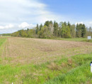 Kmetijsko zemljišče, Bukošek, 8250 Brežice