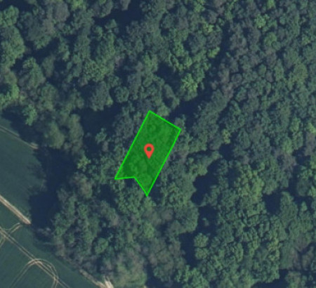 Gozd št. 6 - v deležu ½, Prosenjakovci, 9207 Prosenjakovci