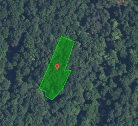 Gozd št. 8 - v deležu ½, Prosenjakovci, 9207 Prosenjakovci