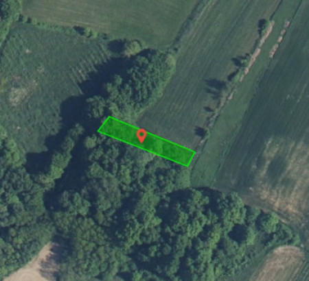 Kmetijsko zemljišče št. 3 - v deležu ½, Prosenjakovci, 9207 Prosenjakovci
