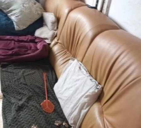 Trosed (usnje)