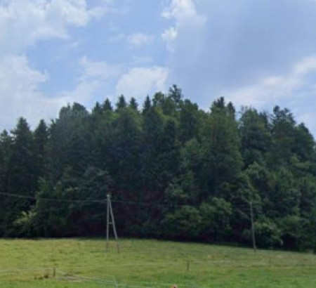 Gozd, Podplešivica, 1357 Notranje Gorice