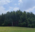 Gozd, Podplešivica, 1357 Notranje Gorice