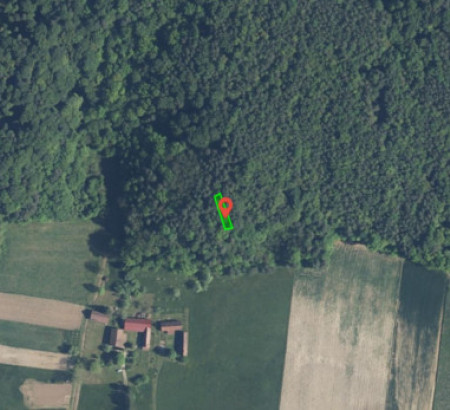 Gozd št. 3, Adrijanci, 9203 Petrovci