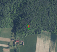 Gozd št. 3, Adrijanci, 9203 Petrovci