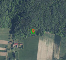 Gozd št. 4, Adrijanci, 9203 Petrovci