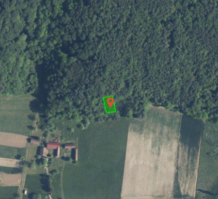 Gozd št. 4, Adrijanci, 9203 Petrovci