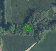 Gozd št. 12, Adrijanci, 9203 Petrovci