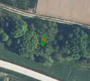 Gozd št. 15, Adrijanci, 9203 Petrovci