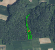 Gozd št. 19, Adrijanci, 9203 Petrovci