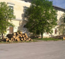 Hlodovina listavcev