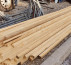 Les za ostrešje