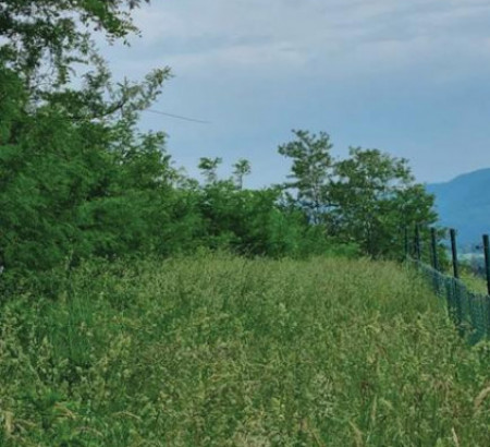 Kmetijsko zemljišče št. 1, Na Brezovici, 8000 Novo mesto