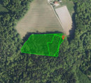 Gozd, Vezovje, 3230 Šentjur