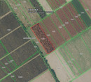 Kmetijsko zemljišče, Kotlina, 31309 Kneževi Vinogradi