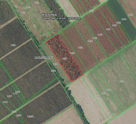 Kmetijsko zemljišče, Kotlina, 31309 Kneževi Vinogradi