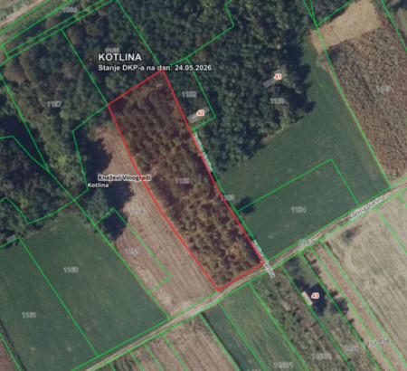 Gozd št. 1, Kotlina planina, Kotlina, 31309 Kneževi Vinogradi