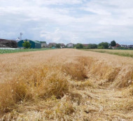 Kmetijsko zemljišče št. 4, Satahovci, 9000 Murska Sobota